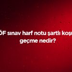 AÖF Harf notlarının anlamları nedir?